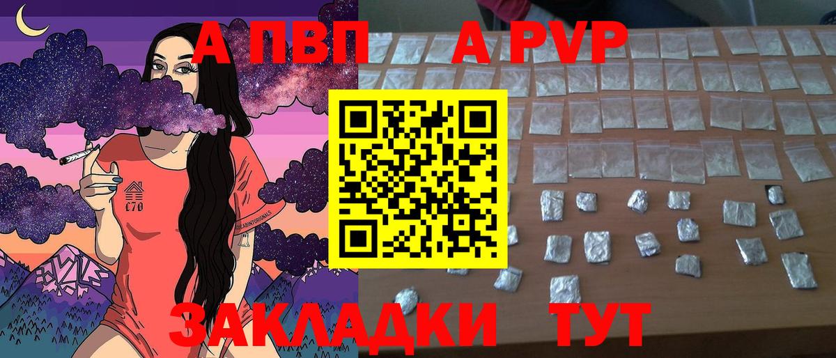 Альфа ПВП СК Великий Устюг