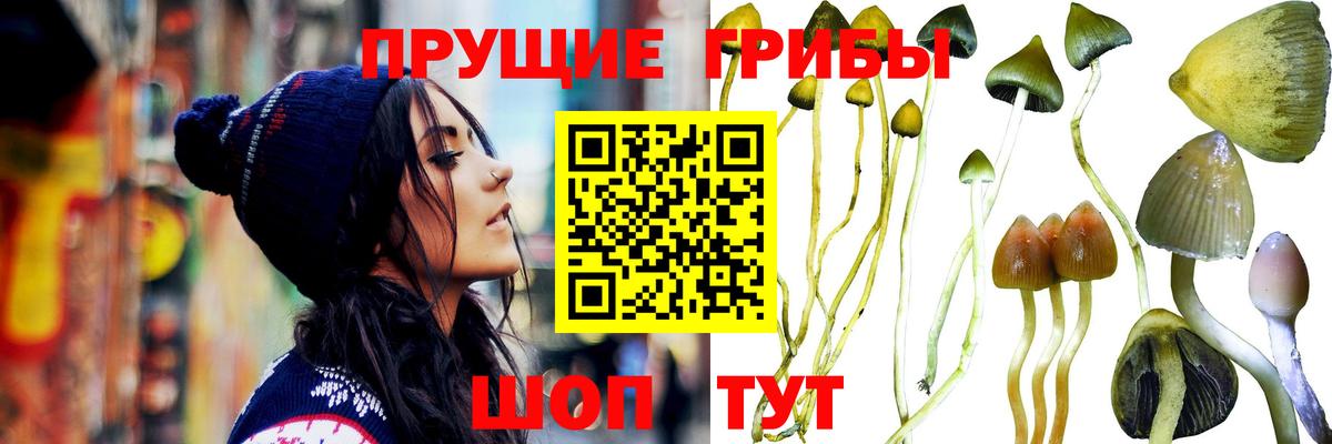 Галлюциногенные грибы ЛСД  Галлюциногенные грибы Cubensis  Великий Устюг  Вход с VPN 